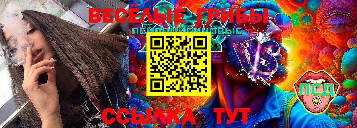 Галлюциногенные грибы GOLDEN TEACHER  Вход с VPN  Острогожск  Галлюциногенные грибы MAGIC MUSHROOMS 